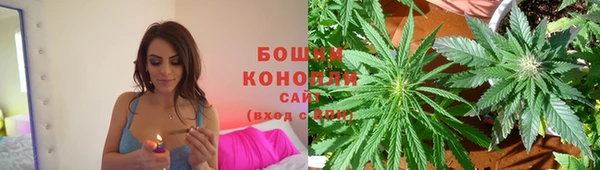 шишки Щёлково