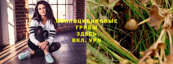 тгк Курчалой