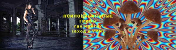 гидропоника Куровское