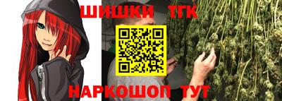 хмурый Бийск