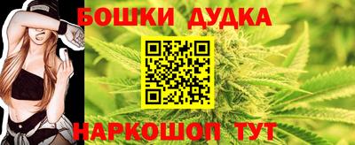 хмурый Бийск