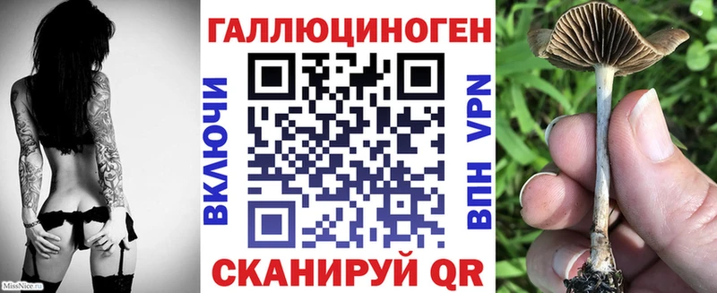 Псилоцибиновые грибы Psilocybine cubensis  Партизанск 